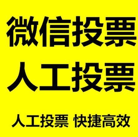 鄂州市小程序微信拉票通过什么方式操作有哪些方法操作？